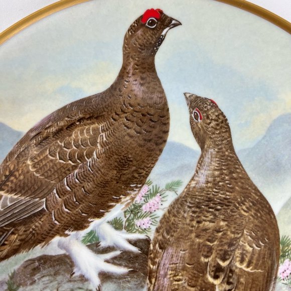 Franklin Porcelain Collectible Plate Gamebirds of the World Red Grouse 1979 - Picture 4 of 8